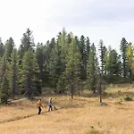 Hochschober מלון